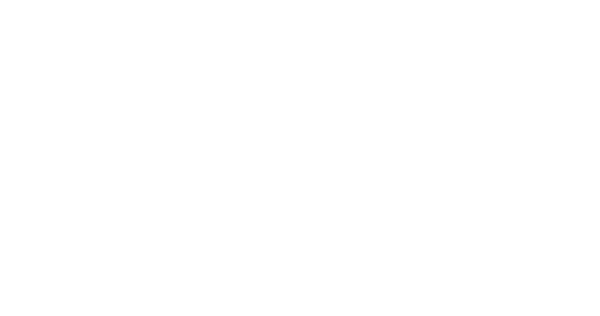 City Insights